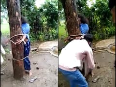 Rajasthan News: భార్యను చెట్టుకు కట్టేసి 7 గంటల పాటు చిత్ర హింస!