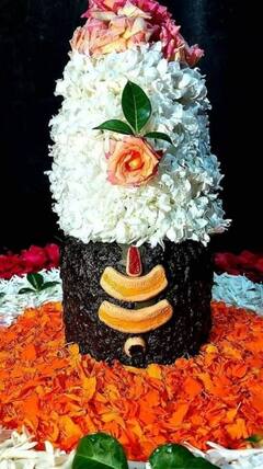 Shrawan 2022: બેહદ પ્રિય છે ભગવાન શિવજીને આ ચીજો, તેને અર્પણ કરવાથી પૂરી થશે મૂરાદ