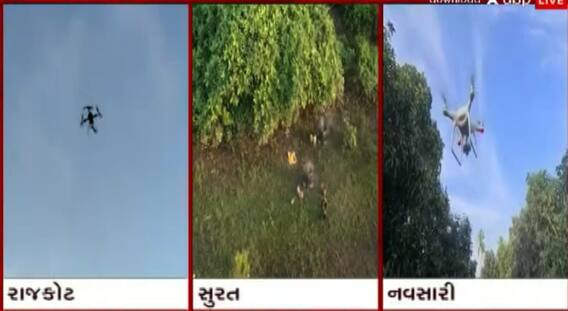 રાજકોટમાં દેશી દારૂની ભઠ્ઠીઓ પર પોલીસે બોલાવી તવાઈ, ડ્રોનની લેવાઈ મદદ