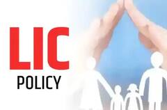 હવે ઘરે બેઠા ભરી શકો છો LICનું પ્રીમિયમ, જાણો સમગ્ર પ્રક્રિયા?