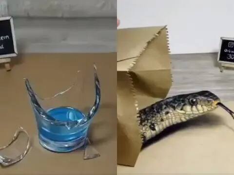 Viral Video: ਕਿਤੇ ਪੈਕਟ ਵਿਚੋਂ ਨਿਕਲਦਾ ਦਿਸਿਆ ਸੱਪ ਤੇ ਕਿਤੇ ਟੁੱਟਿਆ ਹੋਇਆ ਮਿਲਿਆ ਗਲਾਸ! ਅਦਭੁਤ 3D ਕਲਾ ਦੇਖ ਕੇ ਹੈਰਾਨ ਰਹਿ ਗਏ ਲੋਕ amazing 3d painting design of snake broken glass and bug viral video Viral Video: ਕਿਤੇ ਪੈਕਟ ਵਿਚੋਂ ਨਿਕਲਦਾ ਦਿਸਿਆ ਸੱਪ ਤੇ ਕਿਤੇ ਟੁੱਟਿਆ ਹੋਇਆ ਮਿਲਿਆ ਗਲਾਸ! ਅਦਭੁਤ 3D ਕਲਾ ਦੇਖ ਕੇ ਹੈਰਾਨ ਰਹਿ ਗਏ ਲੋਕ