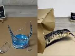 Viral Video: ਕਿਤੇ ਪੈਕਟ ਵਿਚੋਂ ਨਿਕਲਦਾ ਦਿਸਿਆ ਸੱਪ ਤੇ ਕਿਤੇ ਟੁੱਟਿਆ ਹੋਇਆ ਮਿਲਿਆ ਗਲਾਸ! ਅਦਭੁਤ 3D ਕਲਾ ਦੇਖ ਕੇ ਹੈਰਾਨ ਰਹਿ ਗਏ ਲੋਕ