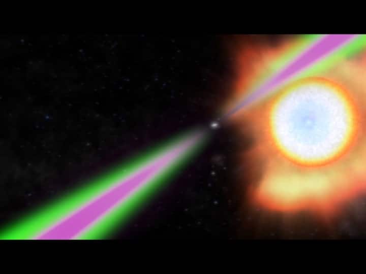 Scientists Identify Heaviest Known Neutron Star To Date It Is A Black Widow Eating Its Stellar Companion Scientists Identify Heaviest Known Neutron Star To Date. It Is A 'Black Widow' Eating Its Stellar Companion