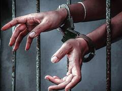 Mehsana News: अमेरिका में अवैध रूप से घुसने के आरोप में 4 गुजराती युवक गिरफ्तार, भारतीय दूतावास ने दिए जांच के निर्देश