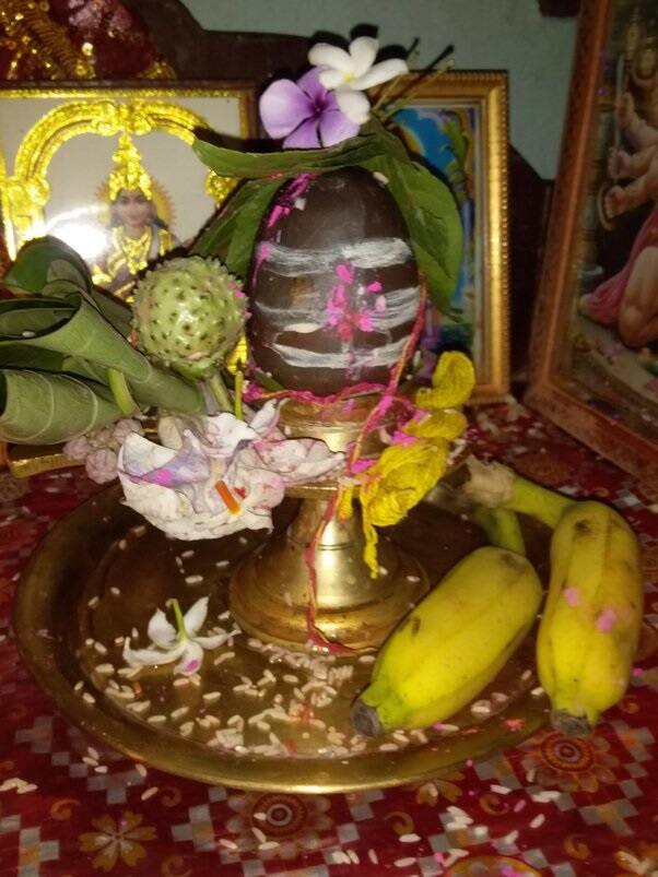 ભગવાન શિવજીને બિલ્વપત્ર અર્પણ કરવાથી ભક્તની સઘળી મનોકામના થાય છે પૂર્ણ