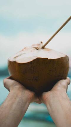 Health Tips : शरीरातील पाण्याची कमतरता पूर्ण करण्यासाठी नारळ पाणी सर्वोत्तम उपाय!