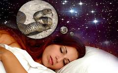 Shrawan 2022: શ્રાવણમાં સપનામાં સાપ દેખાય તો શુભ કે અશુભ, જાણો શું કહે છે સ્વપ્નશાસ્ત્ર