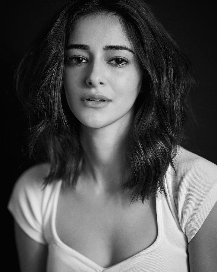 एक स्टार किड असूनही अनन्याने इंडस्ट्रीत स्वतःच्या जोरावर एक खास स्थान मिळवले आहे. अनन्या सतत अनेक प्रोजेक्टसाठी साइन करत असते. (फोटो सौजन्य :ananyapanday/इंस्टाग्राम)