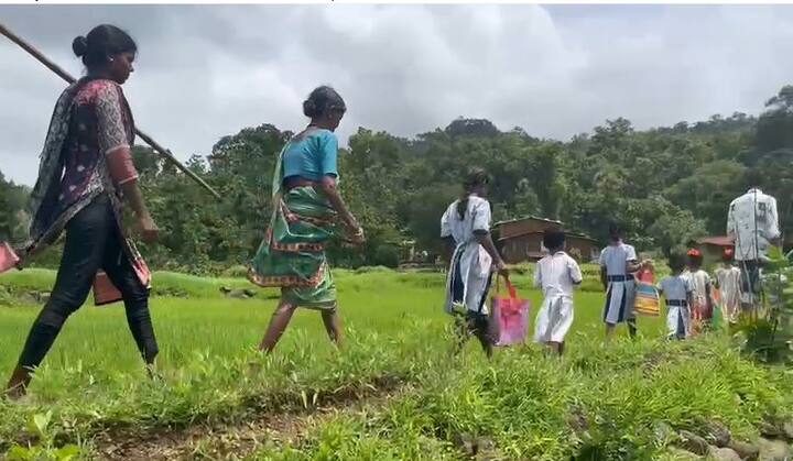 या गावातील शेजारीच असलेल्या तलावातून पाईपलाईन टाकून सर्व पाणी ही वसई विरार महापालिकेतील लोकांना पुरविले जात आहे. मात्र याच आदिवासी बांधवांना साधी एक पाण्याची लाइन टाकून दिलेली नाही. या पाड्यात आजपर्यंत आरोग्य विभागाचा एकही कर्मचारी किंवा डॉक्टर आलेला नाही. या पाड्यात आजपर्यंत वीज आलेली नाही, आताही ही लोक अंधारातच राहत आहेत.