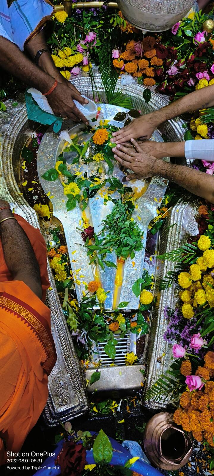 प्रचंड गर्द झाडी, जंगल व उंच डोंगराच्या कुशीत भीमाशंकराचे मंदिर वसलेले आहे.