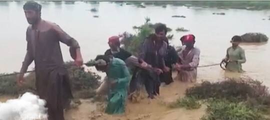 Pakistan Monsoon Updates: Death toll rises to 340 due to heavy floods | ABP News