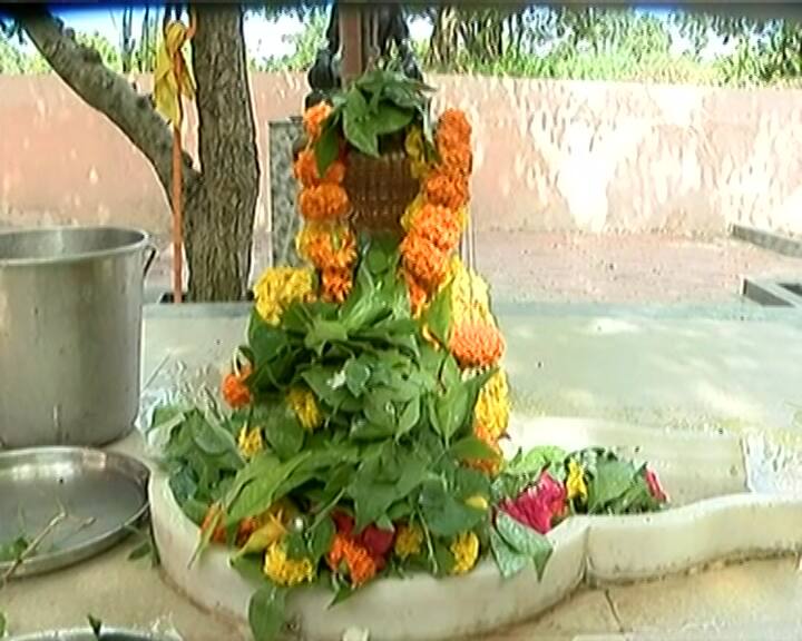 આ પૌરાણિક મંદિરે ભૂતનાથ દાદાના દર્શને રાજકોટ સહિત સમગ્ર ગુજરાતમાંથી શ્રાવણ માસ દરમિયાન ભક્તો આવે છે.