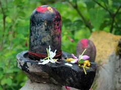 Shrawan 2022 : શ્રાવણના સોમવારે આ રીતે કરો શિવ પૂજા, વરસશે મહાદેવની કૃપા