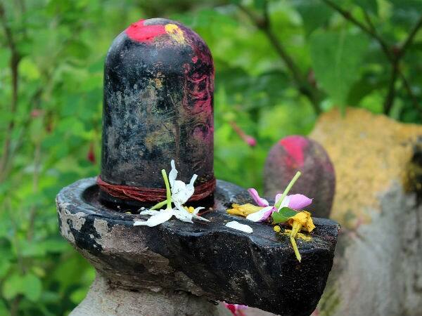 સવારે શુભ મુહૂર્તમાં કોઈ શિવ મંદિરમાં જાઓ અથવા ઘરમાં વ્યવસ્થિત રીતે શિવલિંગની પૂજા કરો. શિવને ગંગાજળથી અભિષેક કરો. આ પછી ભગવાન ભોલેનાથને ચંદન, અક્ષત, સફેદ ફૂલ, બેલપત્ર, ભાંગના પાન, શમીના પાન, ધતુરા, ભસ્મ અને ફૂલોની માળા અર્પણ કરો.