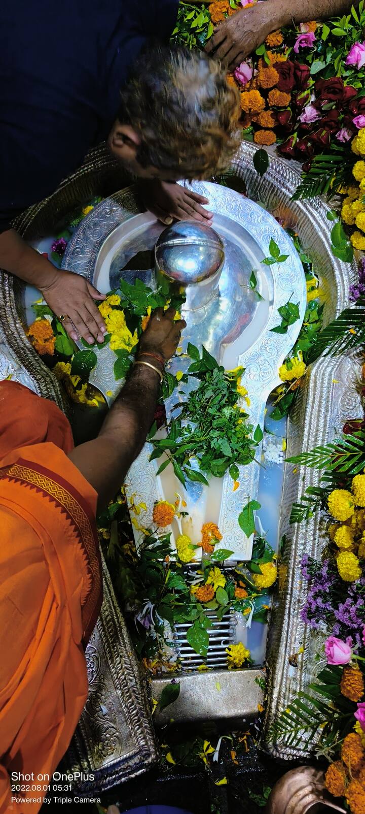 सह्याद्रीच्या पश्चिकडील पसरलेल्या एका रांगेवरील उंच डोंगरावर भीमाशंकर आहे.