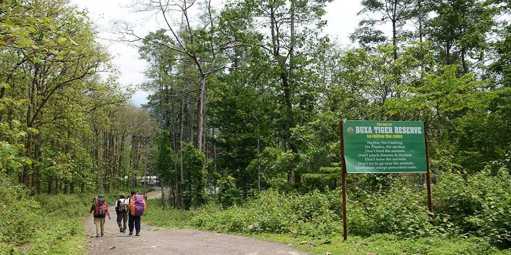 Alipurduar Boxa tiger reserve forest forest minister gives assurance Alipurduar: বক্সা ব্যাঘ্র প্রকল্প নিয়ে নয়া আশ্বাস বনমন্ত্রীর, স্বস্তির হাওয়া পর্যটন ব্যবসায়