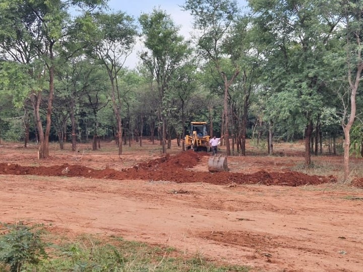 கோவையில் பாரதியார் பாடல் வரிகளுக்கு உயிர் கொடுக்கும் ’குயில் தோப்பு’; மரம் அறக்கட்டளையின் புதிய முயற்சி