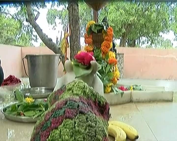 શ્રાવણ મહિનામાં અહીં ભક્તો દર્શન કરીને ધન્યતા અનુભવે છે.