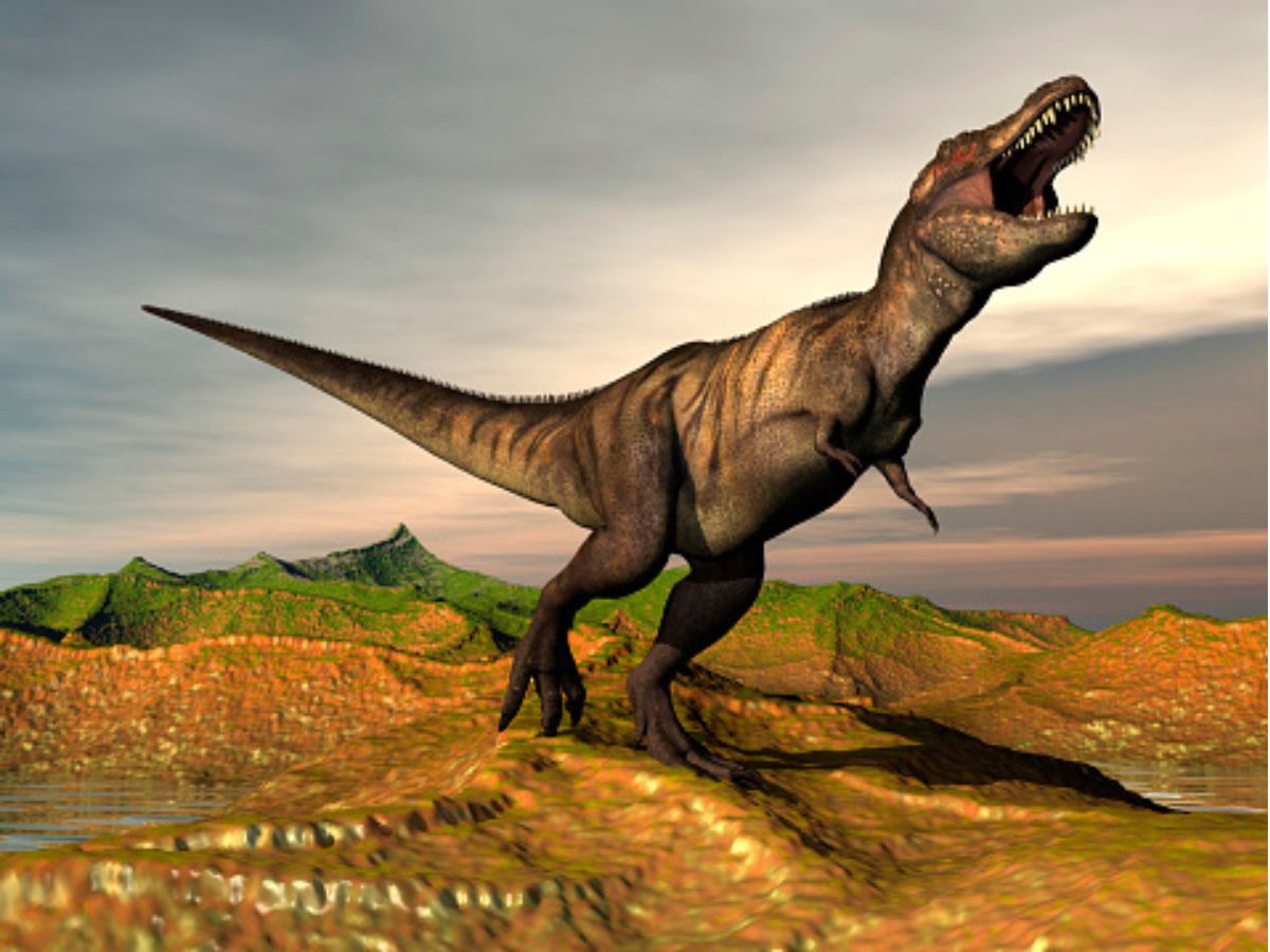 Dinosaurs: Why did 'T. rex' have such tiny arms?, Science