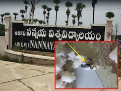 East Godavari News : ఉప్మాలో కప్ప, నన్నయ్య యూనివర్సిటీ బాలికల హాస్టల్ లో ఘటన