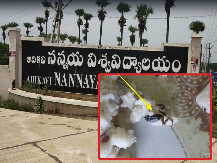 East Godavari Nannayya University dead frog found in Upma students protested dnn East Godavari News : ఉప్మాలో కప్ప, నన్నయ్య యూనివర్సిటీ బాలికల హాస్టల్ లో ఘటన