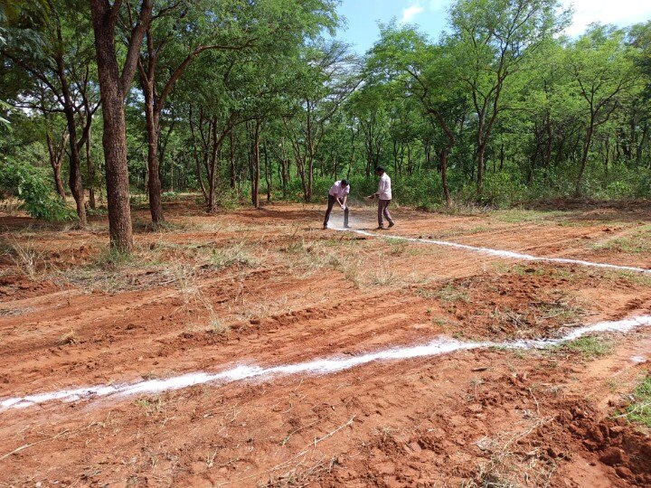 கோவையில் பாரதியார் பாடல் வரிகளுக்கு உயிர் கொடுக்கும் ’குயில் தோப்பு’; மரம் அறக்கட்டளையின் புதிய முயற்சி