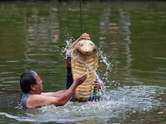 Naag Panchami 2022: Wishes, Messages, Quotes And Greetings To Share On Nag Panchami