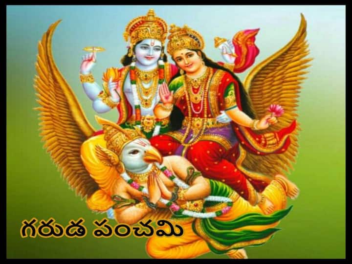 Significance and  Importance of Garuda Panchami Puja and Vrat , know in details Garuda Panchami 2022:  ఆగస్టు 2 గరుడ పంచమి, గరుత్మంతుడు పాముల్ని శత్రువులుగా చూస్తాడెందుకు!