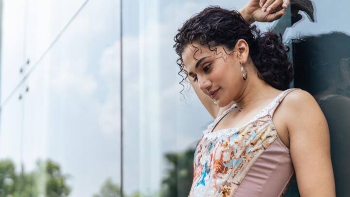 বর্তমানে বলিউড অর্থাৎ হিন্দি ছবিতেই বেশিরভাগ দেখা গেলেও তাপসী পান্নুর অভিনয় জগতে অভিষেক হয়েছিল দক্ষিণী ছবির হাত ধরেই।