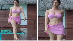 Vedhika Kumar Photos : ਬਿਕਨੀ 'ਚ ਵੇਧਿਕਾ ਕੁਮਾਰ ਨੇ ਵਧਾਇਆ ਇੰਟਰਨੈੱਟ ਦਾ ਪਾਰਾ , ਤਸਵੀਰਾਂ 'ਚ ਦਿਖਿਆ ਸਿਜਲਿੰਗ ਲੁੱਕ