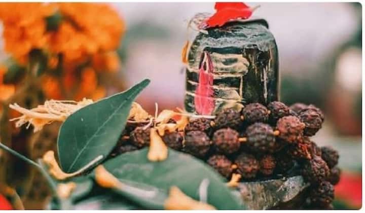 પૂજા સિવાય શ્રાવણના સોમવારે ભગવાન શિવના કેટલાક મંત્રોનો જાપ કરવાથી કષ્ટોનો નાશ થાય છે. અહીં તે મંત્રો આપેલા છે