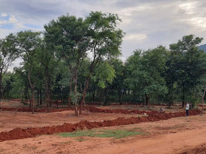 Coimbatore: Tree Foundation gives life to koel garden of Bharathiyar lyrics கோவையில் பாரதியார் பாடல் வரிகளுக்கு உயிர் கொடுக்கும் ’குயில் தோப்பு’; மரம் அறக்கட்டளையின் புதிய முயற்சி