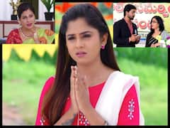 Guppedantha Manasu ఆగస్టు 1 ఎపిసోడ్: రిషికి మరోసారి ప్రపోజ్ చేసిన వసు,దేవయానికి వార్నింగ్ ఇచ్చిన రిషి - సాక్షికి పెద్ద షాకే ఇది!