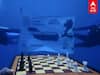 Chess Under Water : ஆழ்கடலில் ”தம்பியுடன்” செஸ்..  அசத்திய நீச்சல் வீரர்கள்!