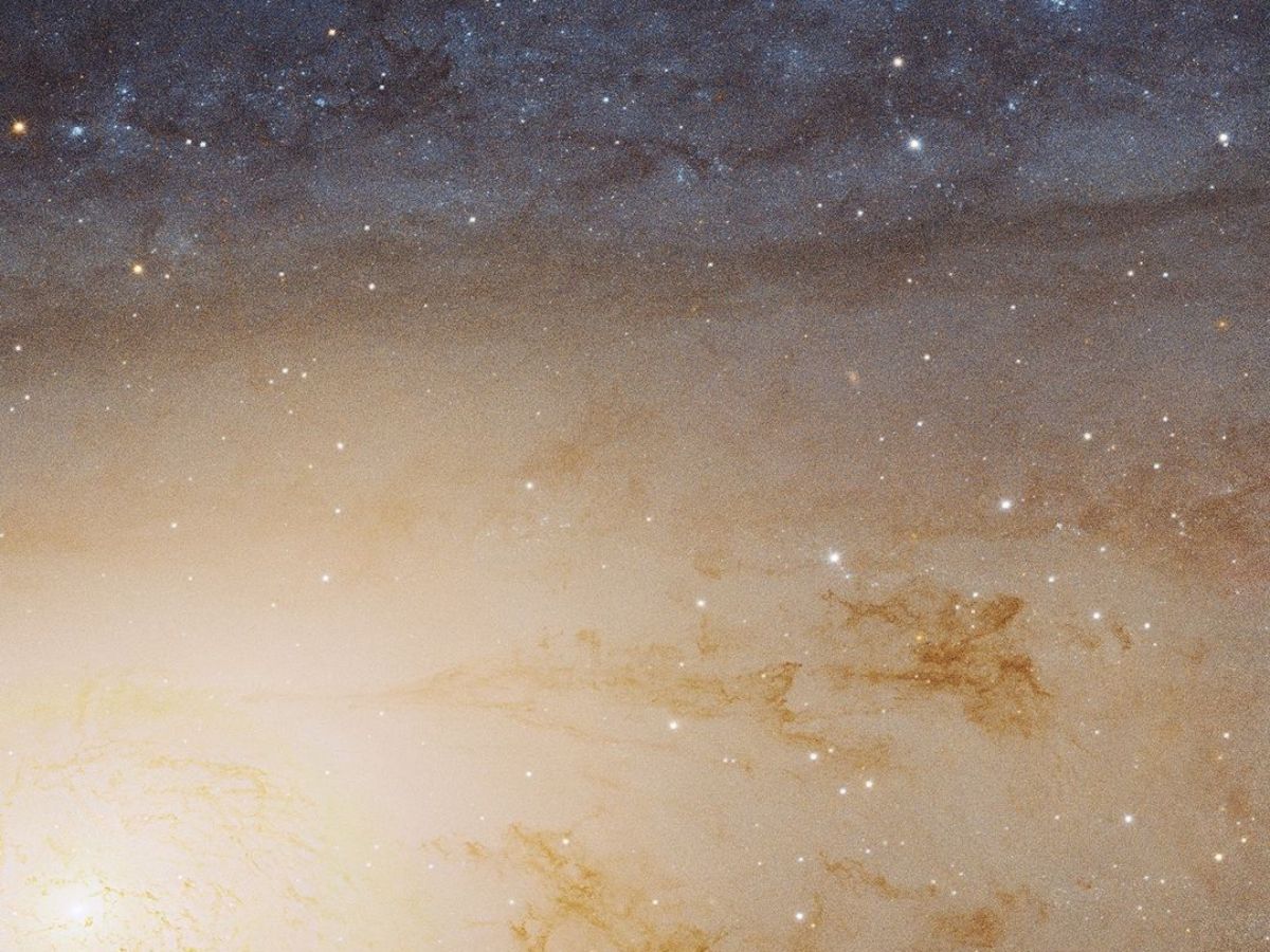 NASA Releases Largest-Ever Image Of Andromeda. The Hubble Image Has Over 100 Million Stars