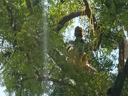 The driver of the car climbed a tree with a rope and threatened to commit suicide கயிறுடன் மரத்தில் ஏறி நின்று தற்கொலை மிரட்டல் விடுத்த கார் ஓட்டுநர் - காரணம் என்ன?