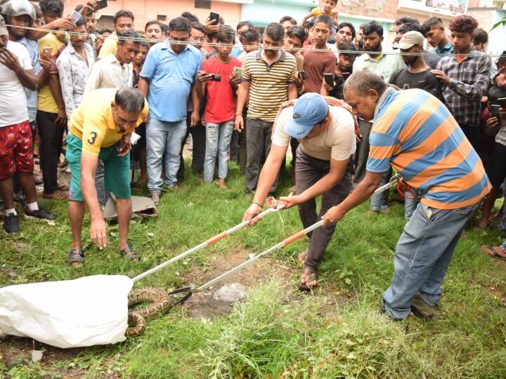 देखते ही देखते लोगों का हुजूम लग गया. इस दौरान लोगों ने पत्थर मारकर अजगर को नीचे गिराना चाहा, लेकिन वह सफल नहीं हुए.