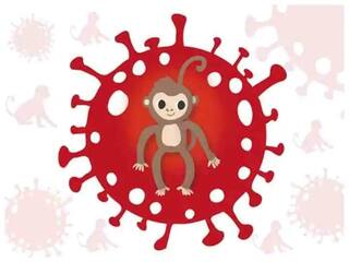 Monkeypox ਵਾਇਰਸ : Monkeypox ਇਕ ਵਾਇਰਸ ਜਾਂ ਇੱਕ ਬਿਮਾਰੀ? ਜਾਣੋ ਕੀ ਕਹਿਣਾ ਮਾਹਰਾਂ ਦਾ