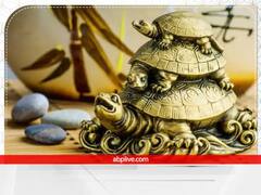 Feng Shui : फेंगशुई कासव वाढवते घरातील सौभाग्य आणि सकारात्मकता 