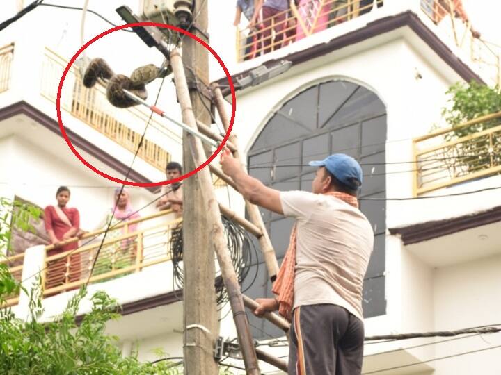 रेस्क्यू ऑपरेशन के दौरान अजगर को सुरक्षित नीचे उतार कर बोरे में बंद कर टांडा जंगल में छोड़ा.