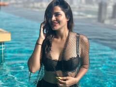 Ashu Reddy Photos: ఆషూ రెడ్డి అందాల అరాచకం, ఒంటికి నెట్ చుట్టుకుని ఫోజులు