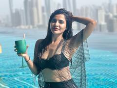 Ashu Reddy Photos: ఆషూ రెడ్డి అందాల అరాచకం, ఒంటికి నెట్ చుట్టుకుని ఫోజులు