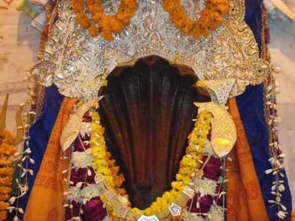 नागवासुकि मंदिर में सावन और नागपंचमी के देश के कोने-कोने से श्रद्धालु माथा टेकने के लिए पहुंचते हैं. इस दिन प्रयागराज में विशेष मेला भी लगाया जाता है. जिसकी परंपरा महाराष्ट्र के पैष्ण तीर्थ से जुड़ी हुई है, जो नासिक की तरह गोदावरी के तट पर स्थित है.