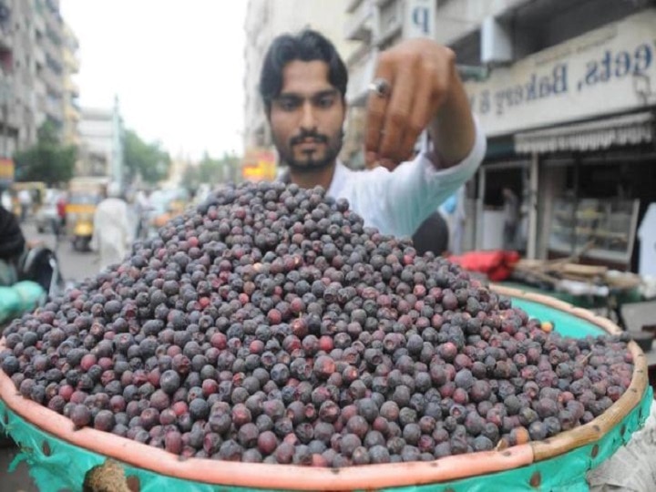 Herbal Farming: कई बीमारियों का रामबाण इलाज है खट्टा-मीठा फालसा, इसे उगाकर बन सकते हैं मालामाल