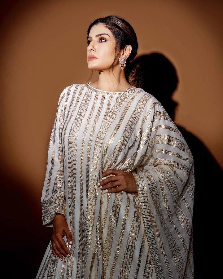 अलीकडेच तिने तिच्या इंस्टाग्रामवर तिचे काही फोटो शेअर केले आहेत, ज्यात ती सुंदर दिसत आहे.(फोटो सौजन्य:officialraveenatandon/इन्टाग्राम)