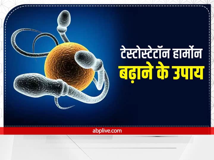how to boost testosterone Hormone  Testosterone Level : पुरुषों के लिए टेस्टोस्टेटॉन हार्मोन है जरूरी, इन चीजों से करें इसकी कमी को दूर
