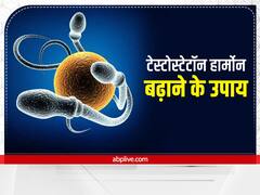 Testosterone Level : पुरुषों के लिए टेस्टोस्टेटॉन हार्मोन है जरूरी, इन चीजों से करें इसकी कमी को दूर