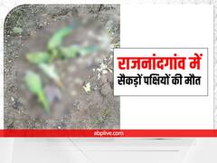 Rajnandgaon News: खेत में मृत अवस्था में सैकड़ों पक्षियों के मिलने से हड़कंप, मौत की हो सकती है ये वजह