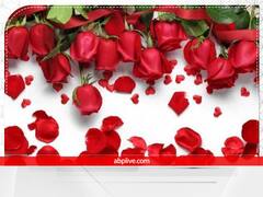 Rose Petals: घर की इस दिशा में रखें गुलाब की पंखुड़ियां, खींची चली आएंगी खुशियां