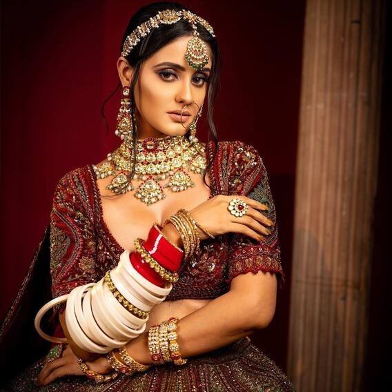 Ayesh Singh Photos: Ayesha Singh is stunning in bridal look, photo went viral